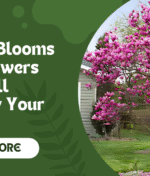 Tree Blooms Pink Flowers: A Guide to 15 Stunning Pink-Flowering Trees