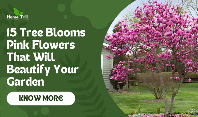 Tree Blooms Pink Flowers
