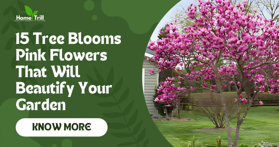 Tree Blooms Pink Flowers