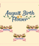 August Birth Flower: Meaning, Symbolism, Fun Facts, and Ways to Celebrate
