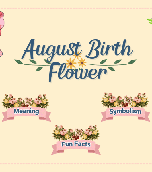 August Birth Flower August Birth Flower