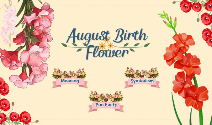 August Birth Flower August Birth Flower