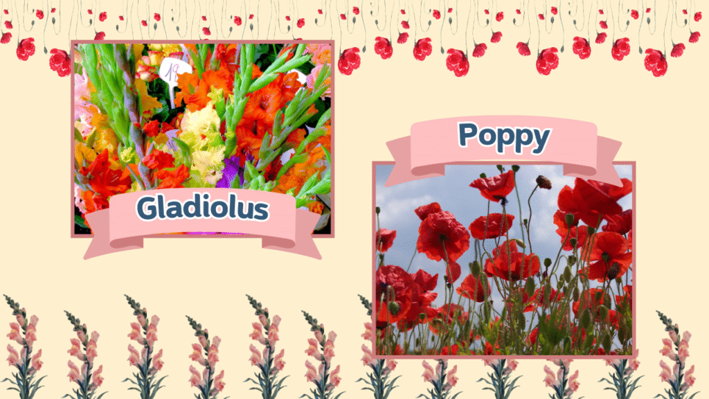August Birth Flower