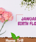 January Birth Flower: Meaning, Symbolism, Fun Facts, and Ways to Celebrate