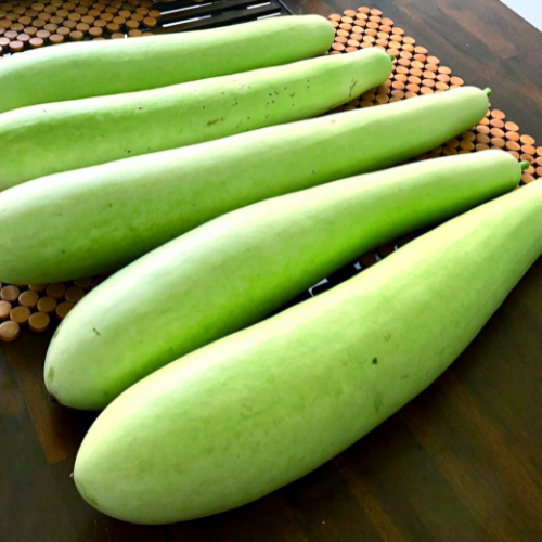vegetables of summer in india