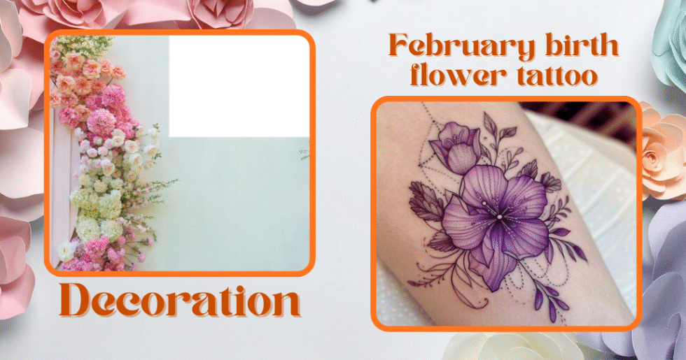February Birth Flower