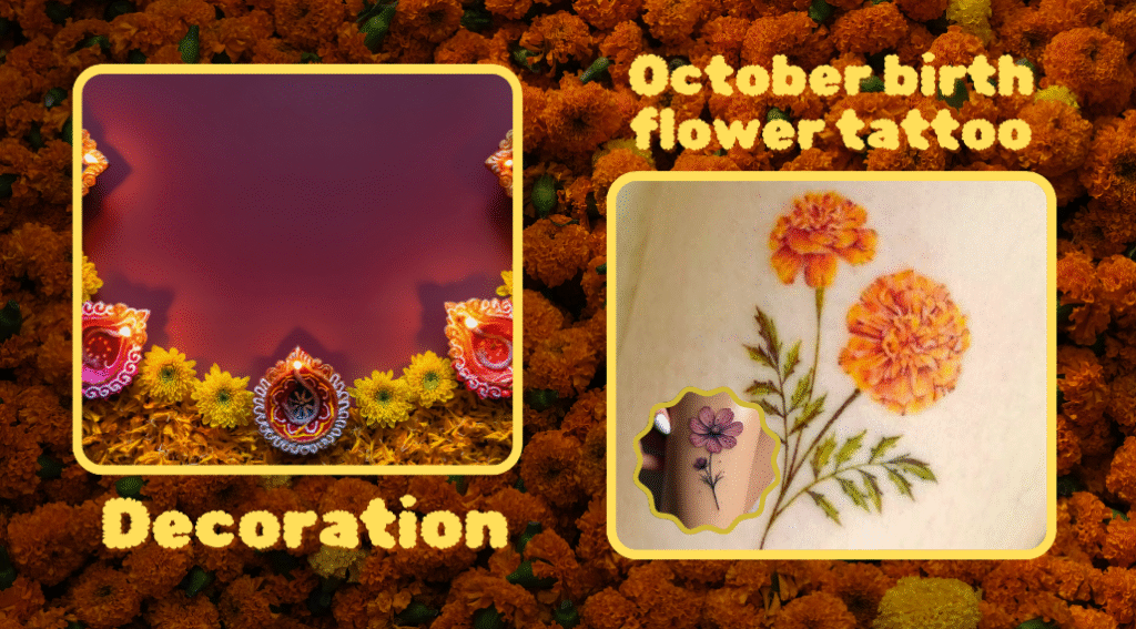 October Birth Flower