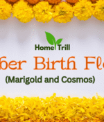 October Birth Flower: Meaning, Symbolism, Fun Facts, and Ways to Celebrate