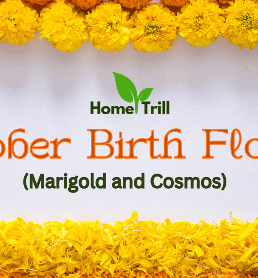 October Birth Flower October Birth Flower