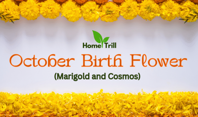 October Birth Flower October Birth Flower