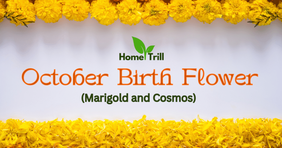 October Birth Flower